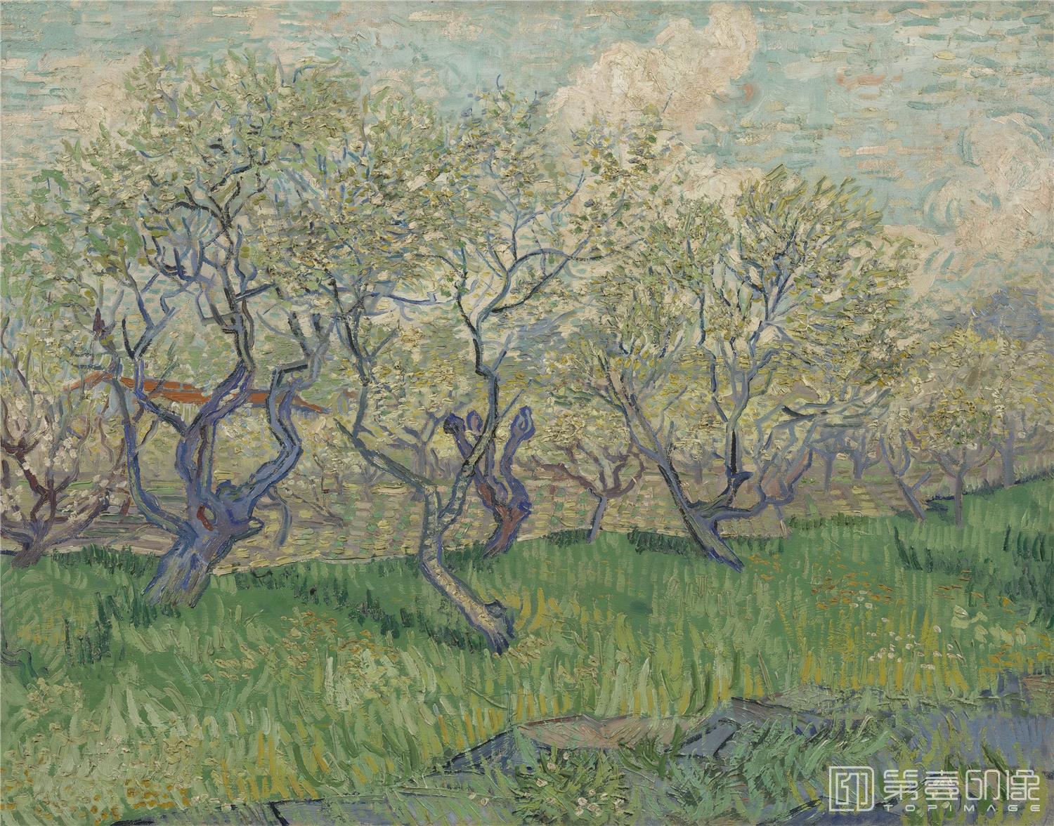 油画-文森特·威廉·梵高 Vincent Willem van Gogh-Orchard in Blossom-274